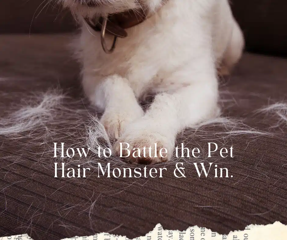 Conquering the Pet Hair: Strategies for Cleaner Carpets and Upholstery