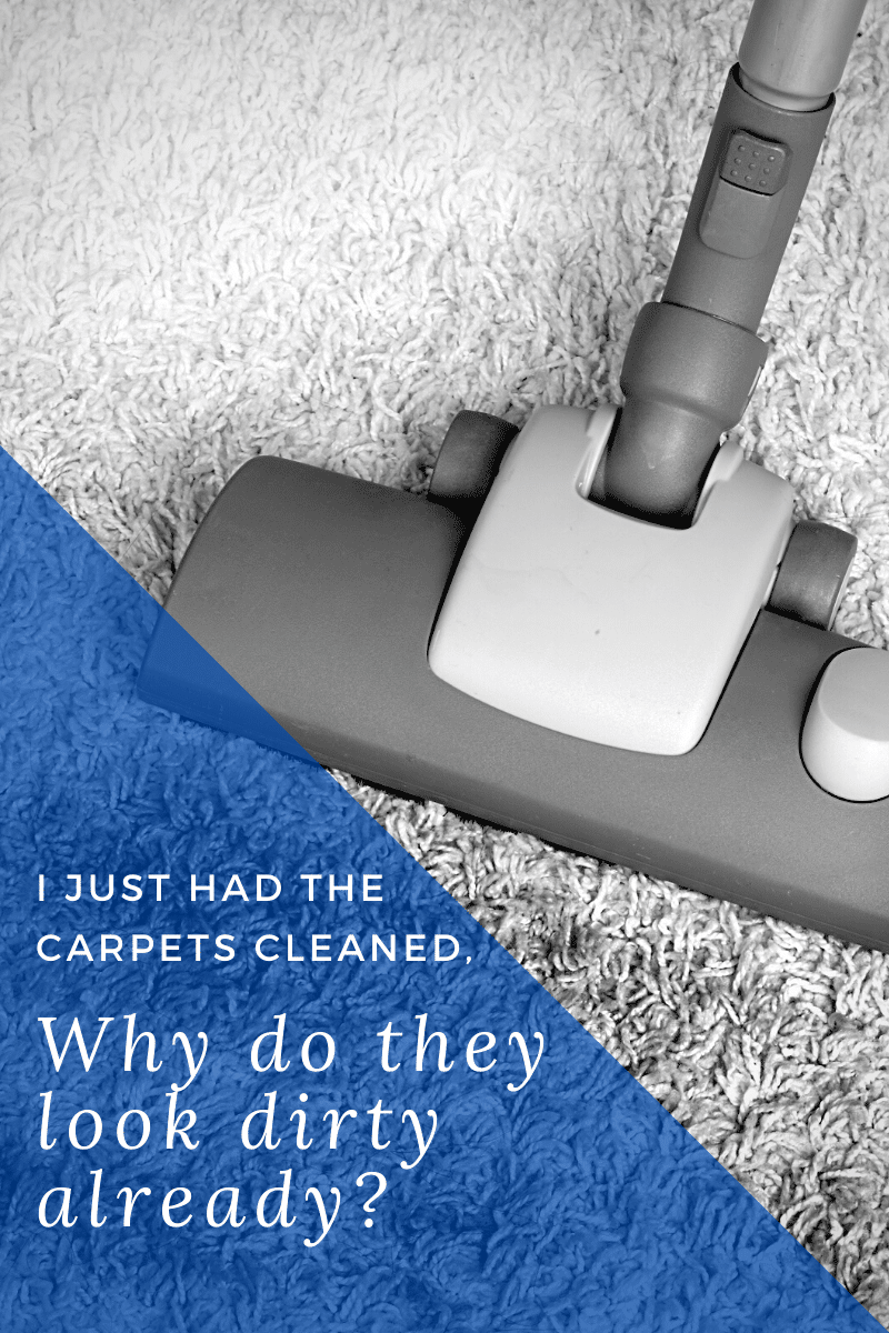 Do carpets get dirty faster after cleaning? 
