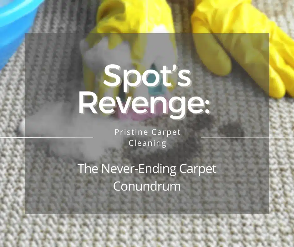 Spot's Revenge: The Never-Ending Carpet Conundrum
